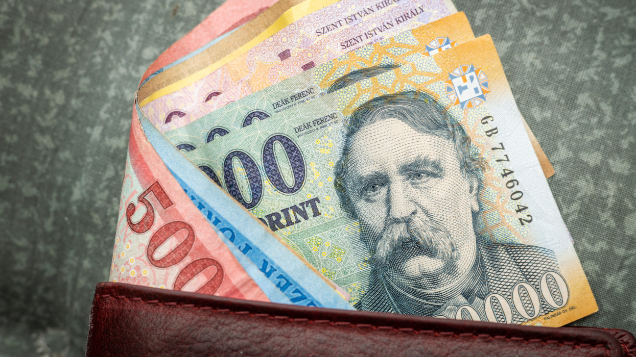 Hungarian money, forints, sticking out of a wallet, financial and economic concept,, close up