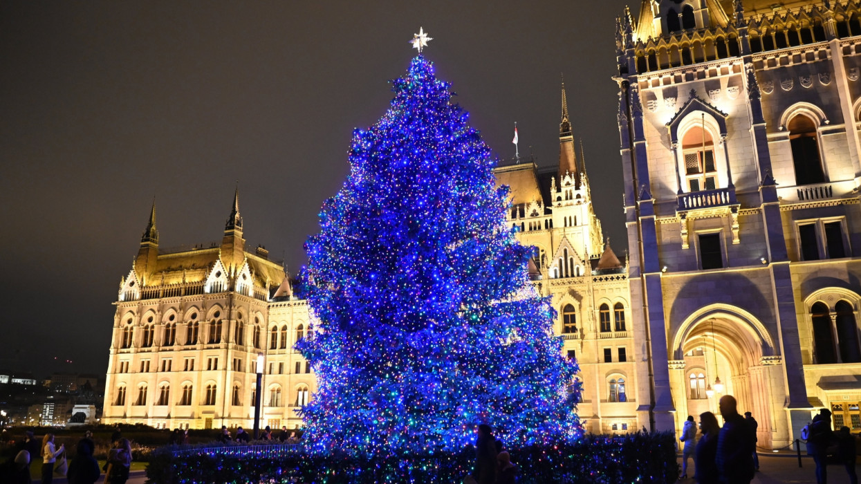 Ez a csodás fenyő lesz 2023-ban Magyarország karácsonyfája: nagyon messziről érkezik Budapestre + fotó
