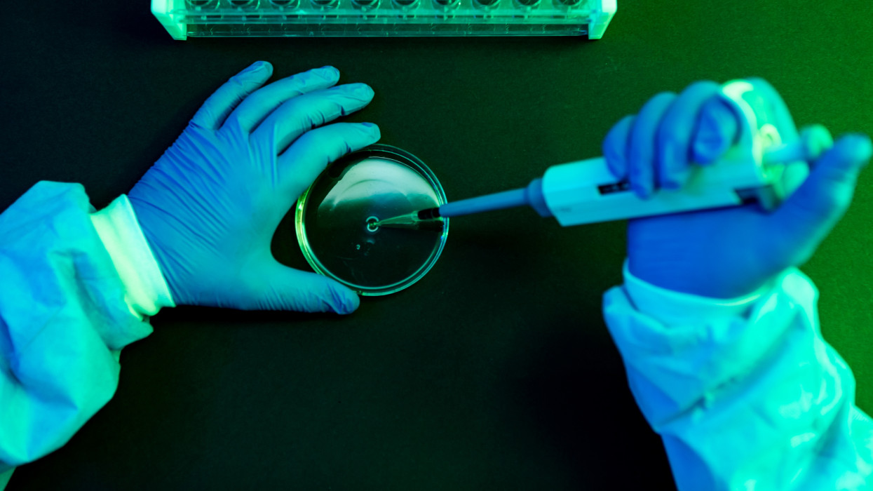 Aerial view of the hands of a scientist pouring fluid with the pipette into a petri dish in a laboratory with a green atmosphere.