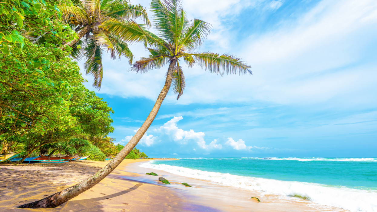 A tropical beach on Sri Lankas south coast at Mirissa.