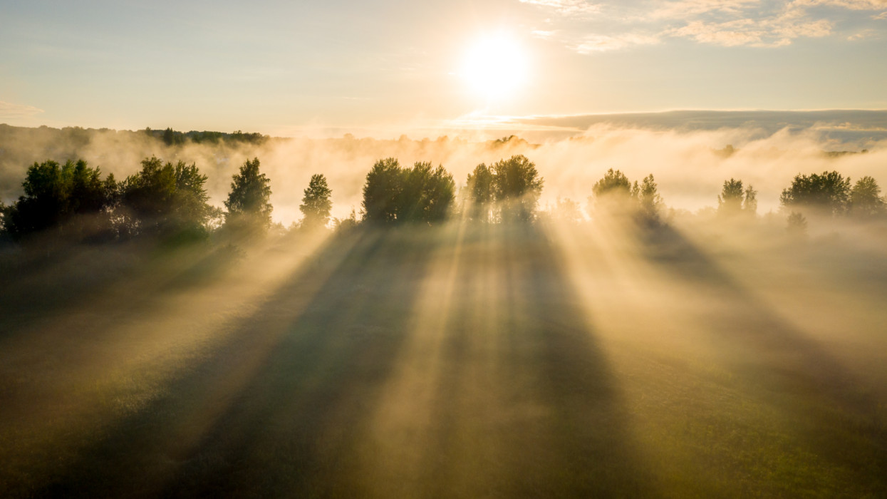 Early morning landscape. Foggy river. River valley in the morning fog at sunrise. View from above. Rays of the sun breaking through the fog in over the trees
