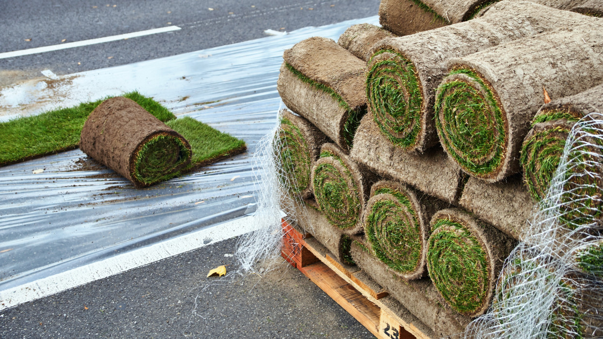 Sod rolls ready to be laid on the urban road