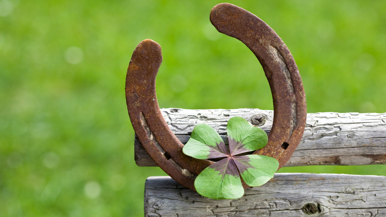 a horseshoe and a four-leaf clover symbolizes good wishes