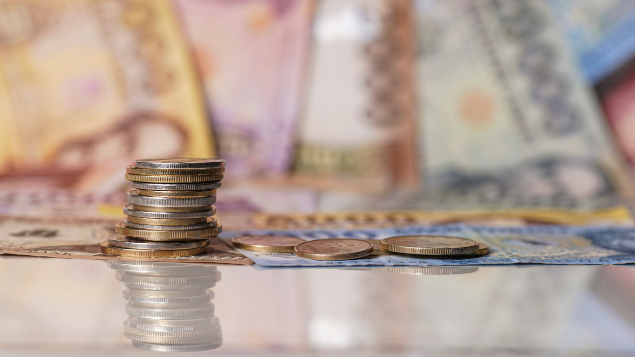 Így ingadozhat a forint árfolyama 2024-ben: ezt teszi jövőre az infláció a magyar pénztárcákkal