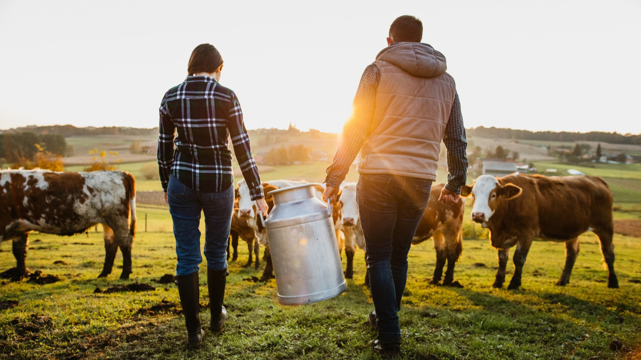 Young female and male farmer carrying milk canister at dairy farm