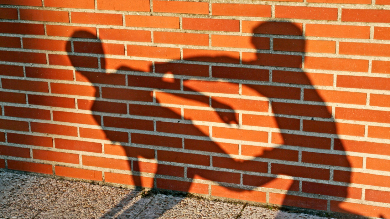 The shadow of two young boys fighting projected against a red brick wall.