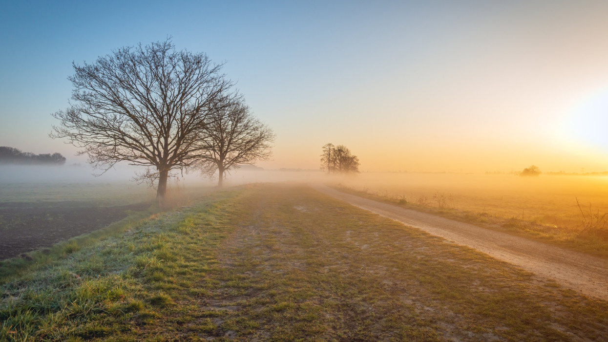 Morning mist in a wintry Dutch polder landscape. The sun is just rising and the grass is still frosted. In the foreground are two trees silhouetted against the sky.
