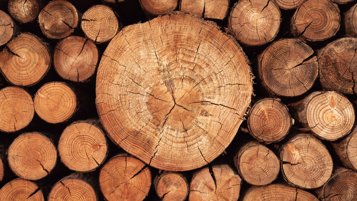 Pile of Chopped Wood Logs Stacking Close-up Full Frame Shot.