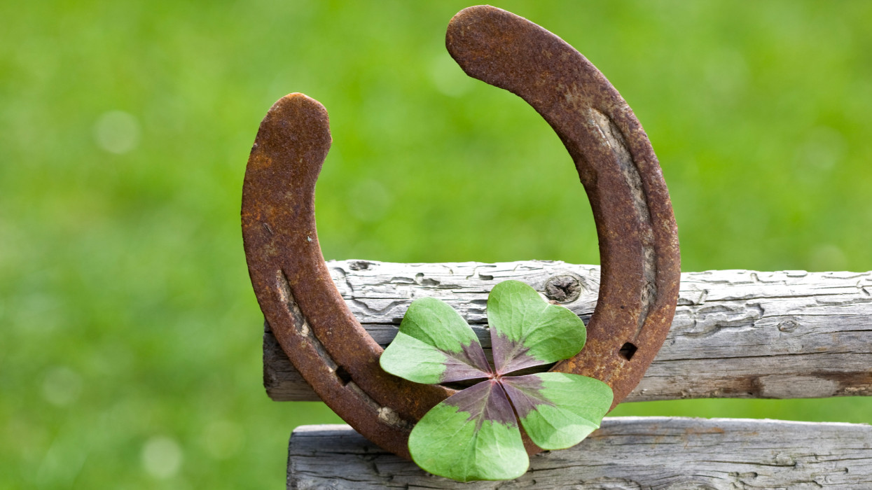 a horseshoe and a four-leaf clover symbolizes good wishes