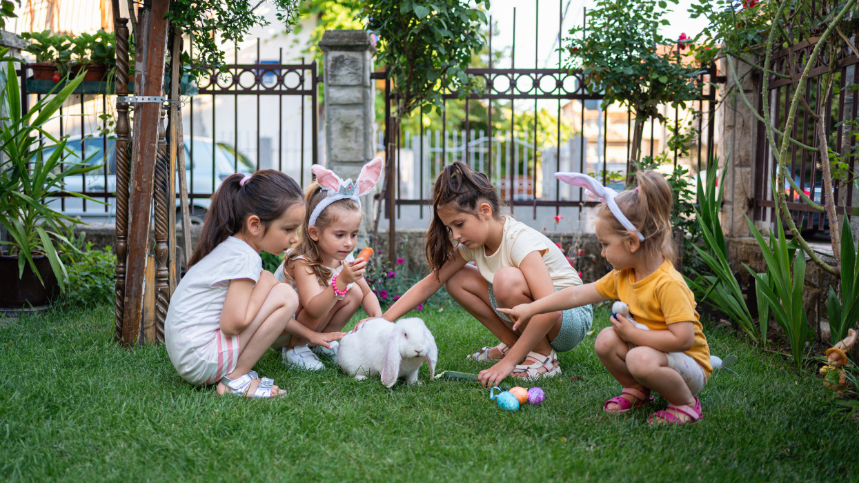Caucasian sisters petting and feeding rabbis with cucumber and carrot , during an Easter celebration
