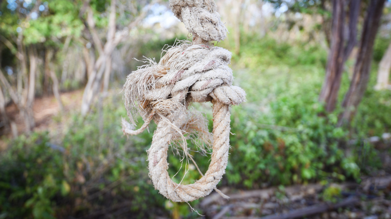 Rope loop knot tied / noose hanging on the tree or suicide rope