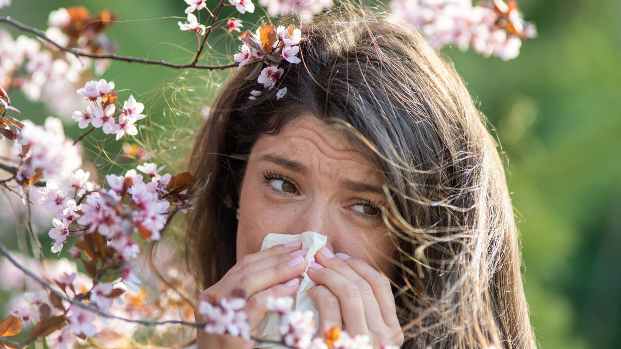Afraid young woman wiping nose with napkin in front of blooming tree. Spring allergy attack concept