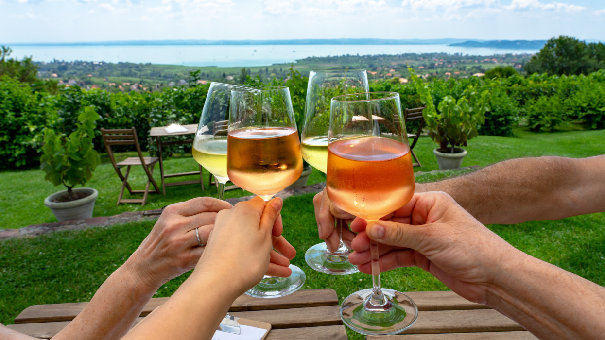toast with wine in a vineyard bar with a nice view of Lake Balaton on a nice summer day with family friends .