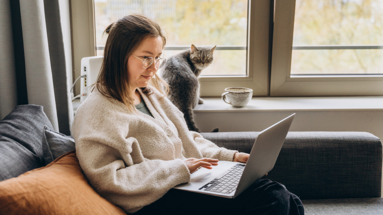 Young woman working at home remotely using a laptop while sitting on the sofa. Her domestic cat is sitting next to her