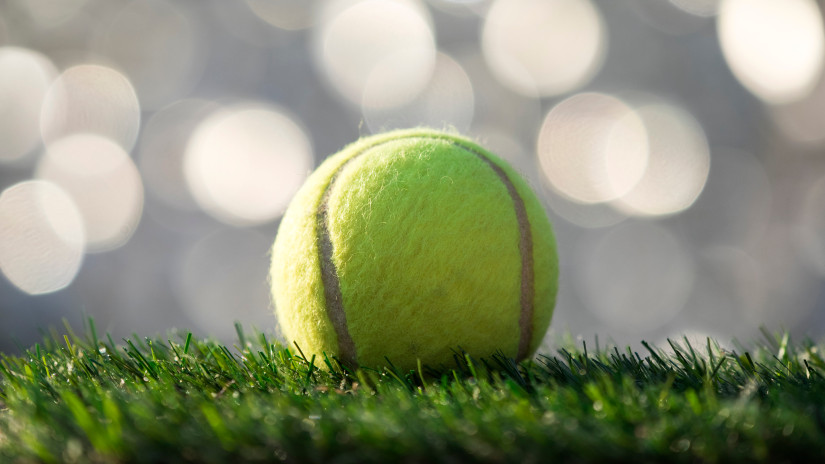 Ennyi pénzt zsebelhetnek be a Wimbledon győztesei 2024-ben: ezek a magyar teniszezők vannak még versenyben