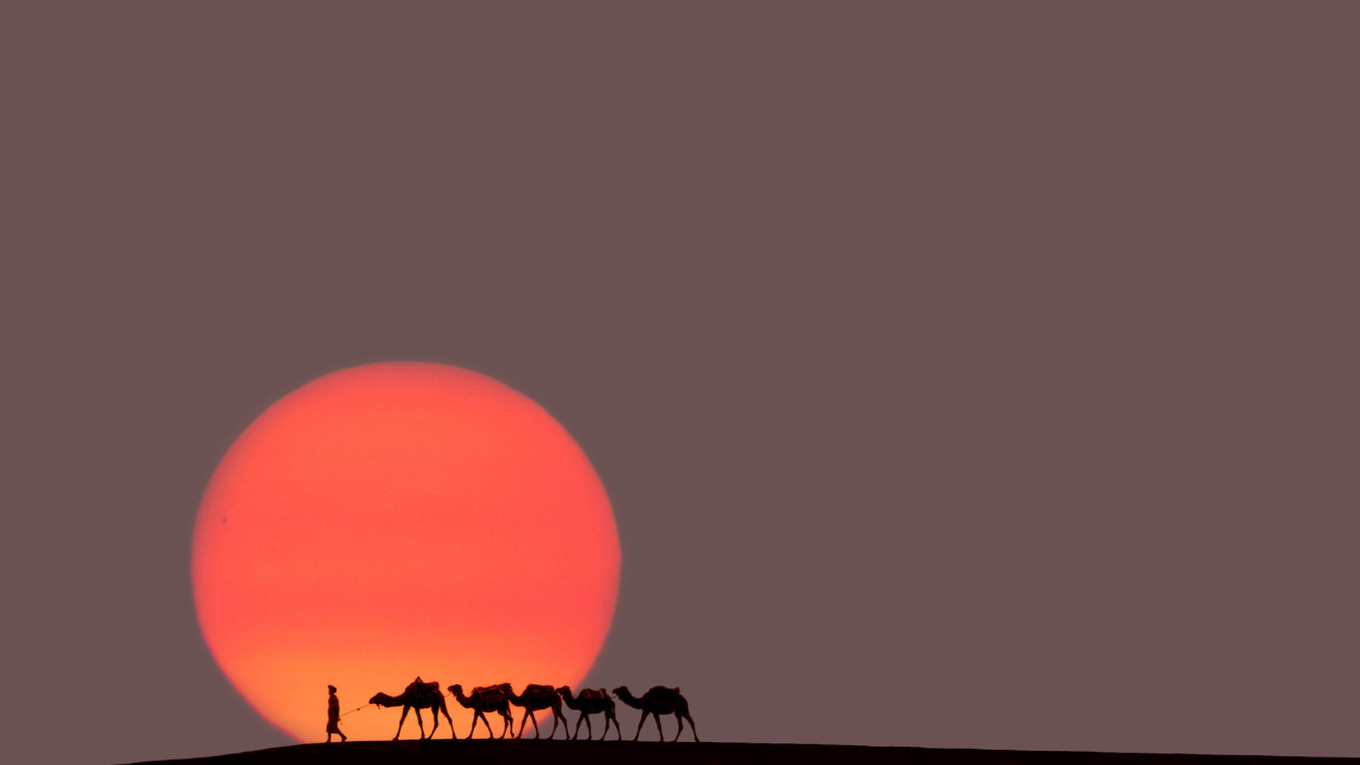 Composite image:Merzouga Erg Chebbi sand dunes, single guide leading five camels across dunes.