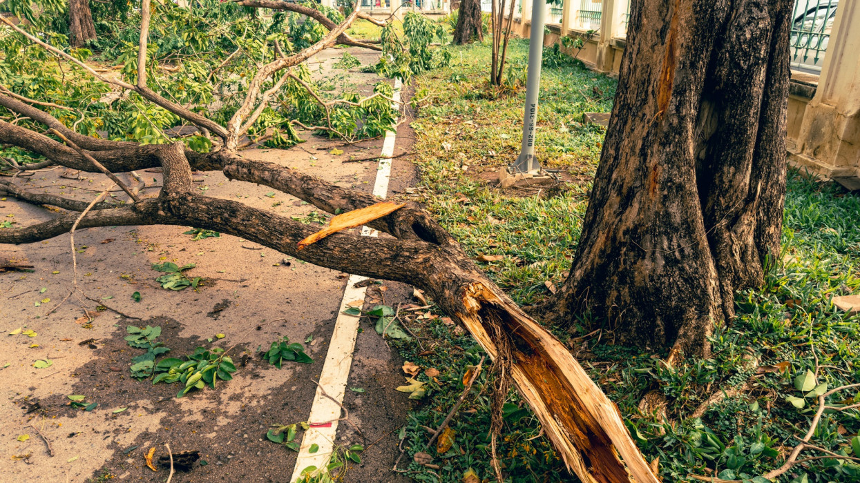Dühöngött a vihar Pest megyében: itt okozta a legdurvább károkat