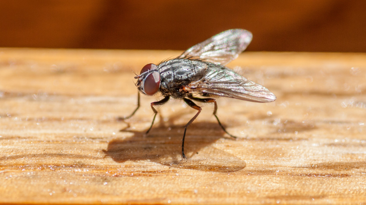 Február vagy április? Szokatlanul idő jön, erre készülhetünk csütörtökön