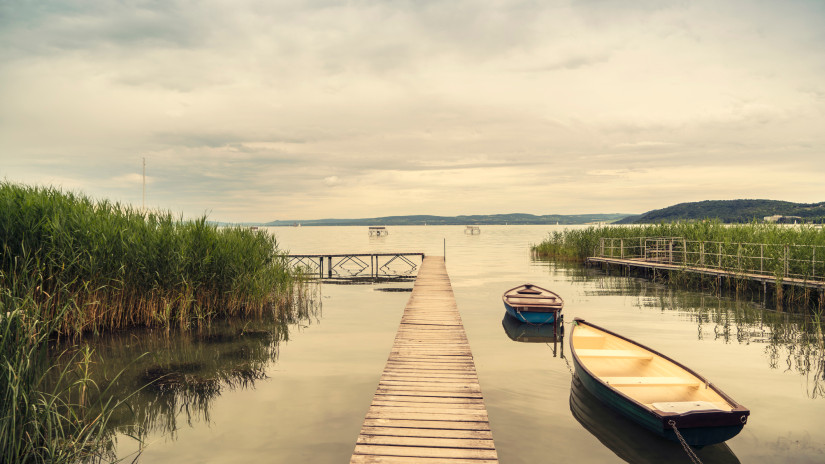 Tényleg medúzák vannak a Balatonban? Kiderült az igazság, megszólalt a Kutatóintézet