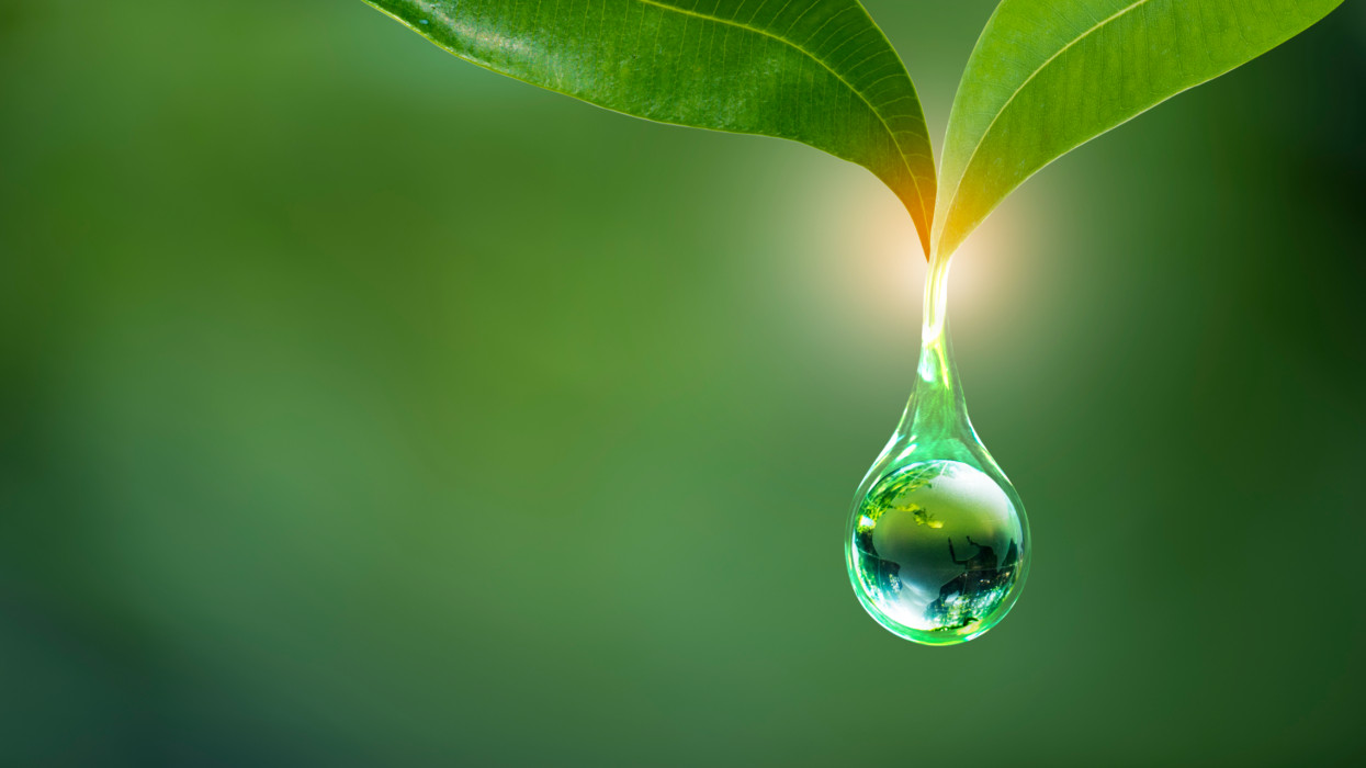 Renewable energy concept Earth Day or environment protection Hands protect forests that grow on the ground and help save the world.