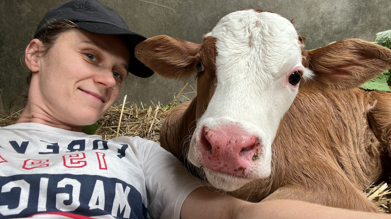 Zsákfaluba költöztek a budapesti művészvilágból: két család így épített új életet a Bakonyban