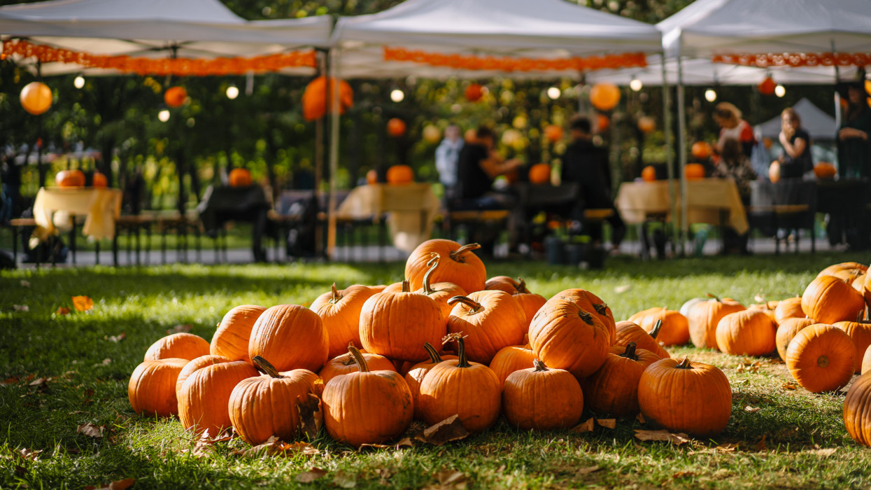 Tök jó nap lesz: faragás, vásár, tökös finomságok - kell ennél tökösebb program a hétvégére?