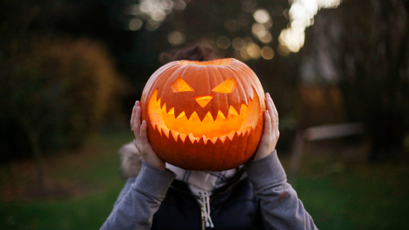Lidl, Aldi, Tesco, Penny, Spar, Auchan: óriási tökháborúba kezdtek a magyar boltok - mutatjuk, hol a legolcsóbb a faragható Halloween tök