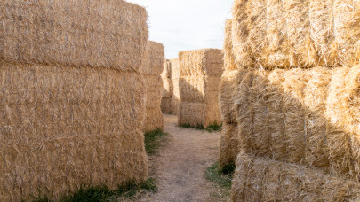 Visszatér a Balaton legvidámabb őszi kalandja: holnap nyit a nagystrandon a szalmalabirintus