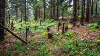 Meghalt egy magyar turista a Magas-Tátrában: sokkoló dolgok derültek ki a körülményekről