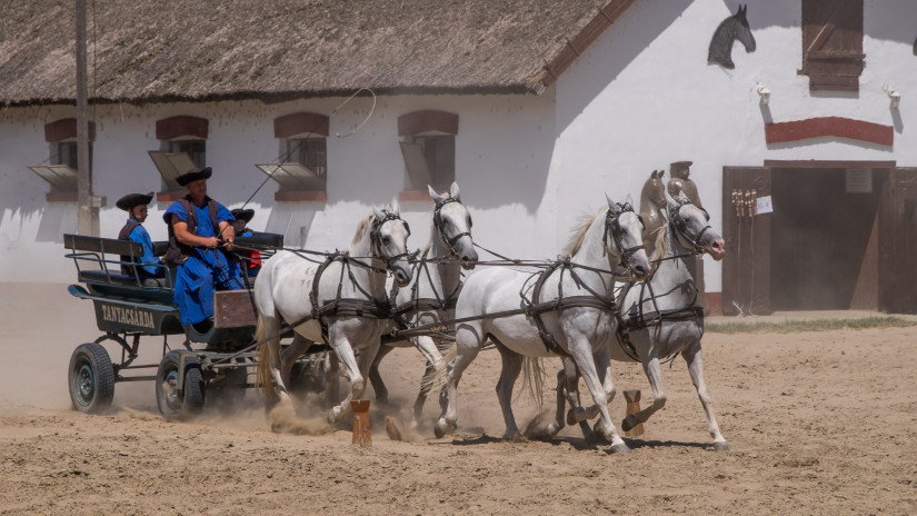 Mi lett a Hortobágy öt nagy csárdájával? Árak, nyitvatartás az ország legöregebb fogadóiban