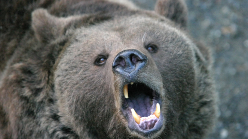 Kiadták a tűzparancsot a határ menti magyar településeken: szabadon lelőhetik mostantól a jogtalan behatolókat