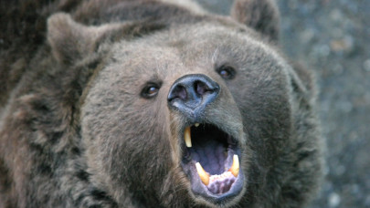 Kiadták a tűzparancsot a határ menti magyar településeken: szabadon lelőhetik mostantól a jogtalan behatolókat