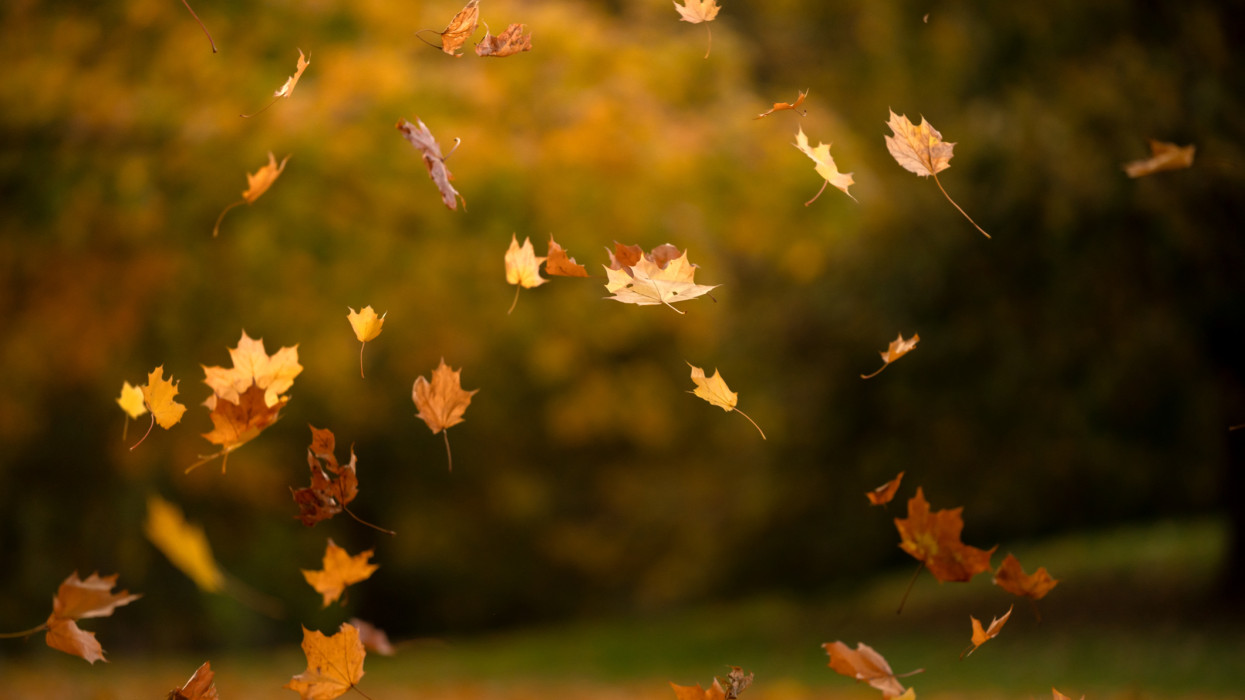 Kiadta a figyelmeztetést a HungaroMet: komoly változás jön az időjárásban, erre kell készülni