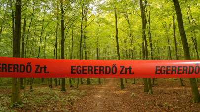 Döbbenet, mire figyelmeztetnek a hazai szakemberek: illegális erdőlezárásokkal sokkolják a túrázókat