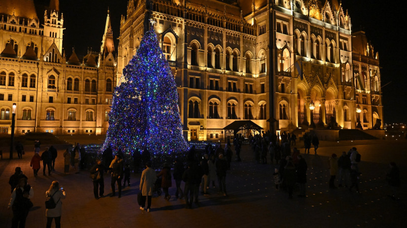Ez a gyönyörű ezüstfenyő lesz idén Magyarország karácsonyfája: a Nyírségből érkezik a Kossuth térre a 23 méteres óriás