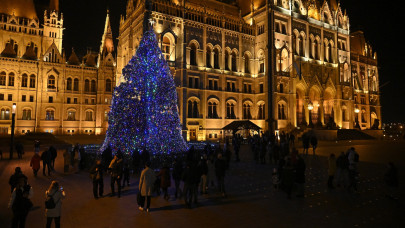 Ez a gyönyörű ezüstfenyő lesz idén Magyarország karácsonyfája: a Nyírségből érkezik a Kossuth térre a 23 méteres óriás