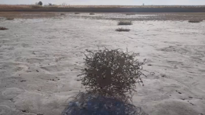 Rejtélyes gömbök táncolnak a kardoskúti Fehér-tavon: kiderült, mi áll a furcsa jelenség mögött + Videó