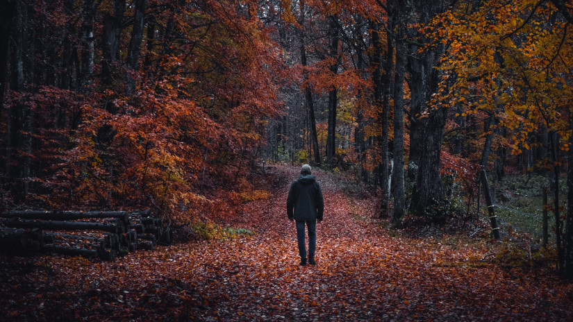 Több turistautat is lezárnak az országban: erre figyelj, ha kirándulnál a hétvégén