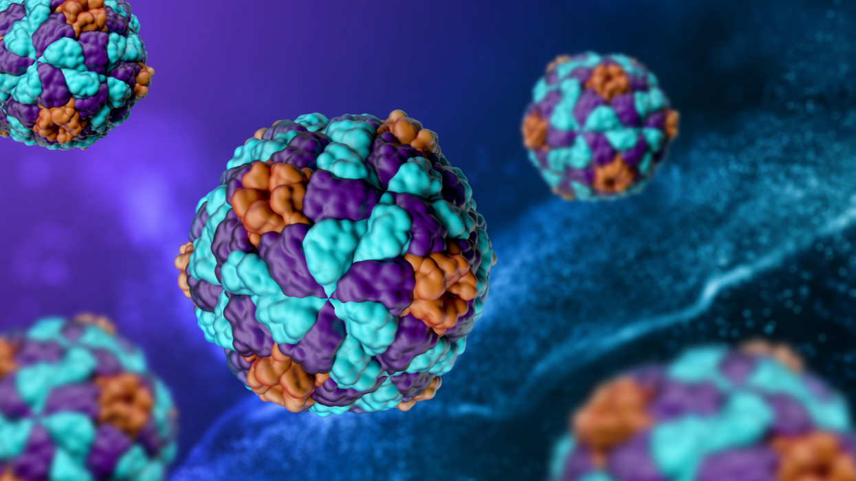 Pusztító népbetegség jelent meg Magyarországon is: ezek a megyék a legfertőzöttebbek