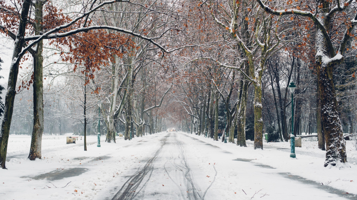 Behavazódott a fél ország: csodálatos képek érkeztek a fehér tájakról