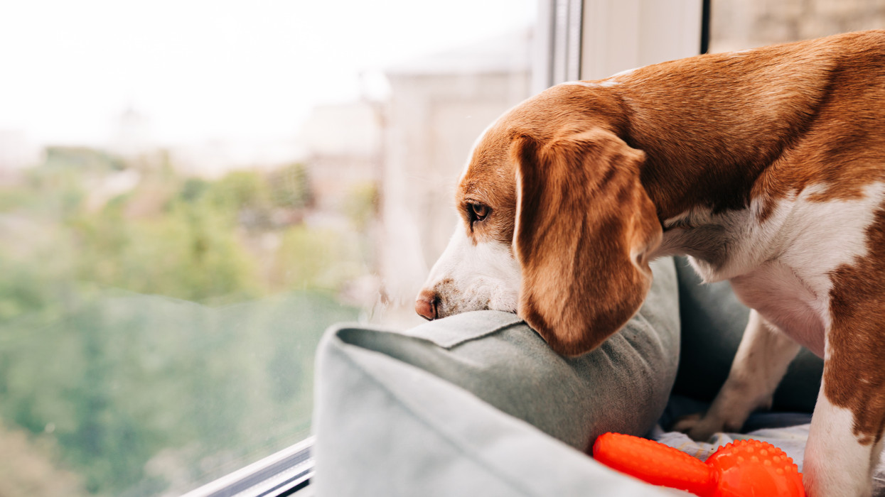 Ilyen nincs: az összes bevizsgált eszköz megbukott egy laboratóriumi vizsgálaton