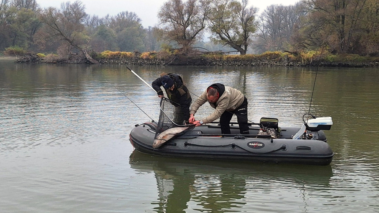 Ekkora kapást, nézzétek! Giga ragadozókra horgásztak az év utolsó hazai versenyén + Fotók