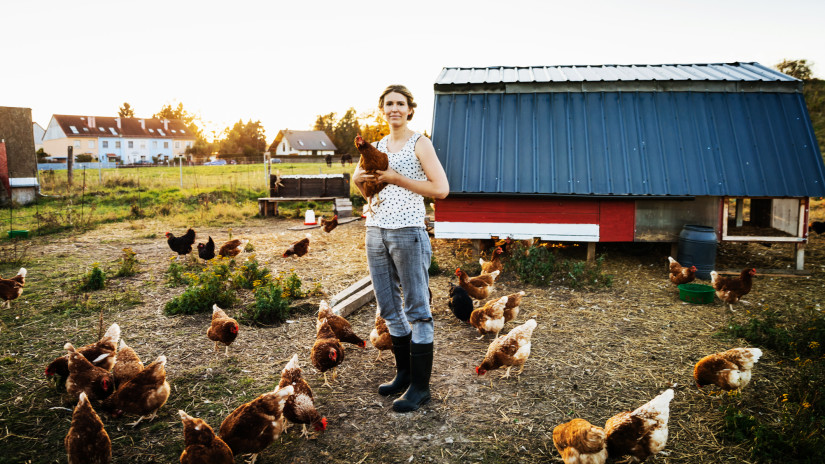Jó reggelt, Magyarország! Itt áll feketén-fehéren: ezért menekülnek tömegek el vidékről