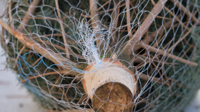 Óriási fenyőakciót hirdetett az OBI: ennyiért adja a karácsonyfát 2025-ben a barkácslánc