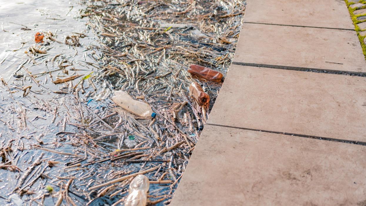 Őrülten veszélyes dolgok történnek Európa nagyvárosaiban: küszöbön a katasztrófa, nagyon kellene már tenni valamit