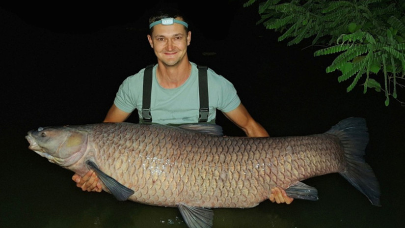 Leesik az állad: megdőlt a &quot;misztikus&quot; fekete amur országos rekordja - fotón a brutális kapás