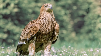 Elképesztő jól járt, aki időben szállt be: bődületes rekordon az egyik legnépszerűbb befektetés, mi folyik itt?