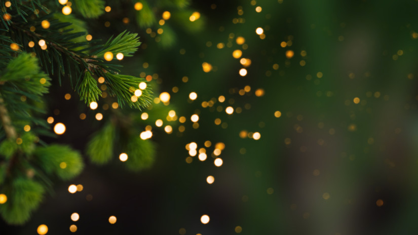 Rengeteg életet követel 2025-ben a felelőtlenség: pedig a tragédiák megelőzhetők lennének