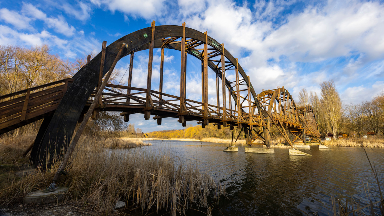 Embereket csipkedő halak jelentek meg a Balatonnál: agresszívabb fajokat is azonosítottak, ezzel kezdeni kell valamit