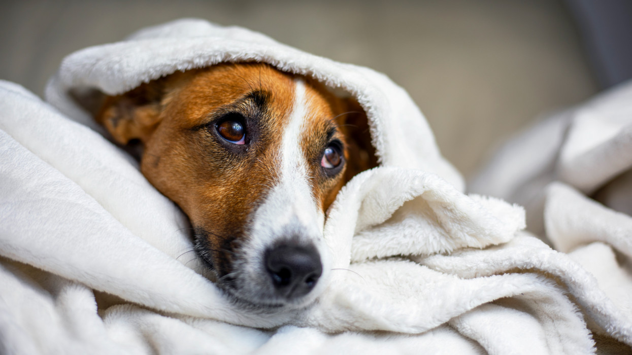 Ezt rengeteg magyar elrontja a lakása, háza fűtésekor: pedig rengeteg pénzt spórolhatnának